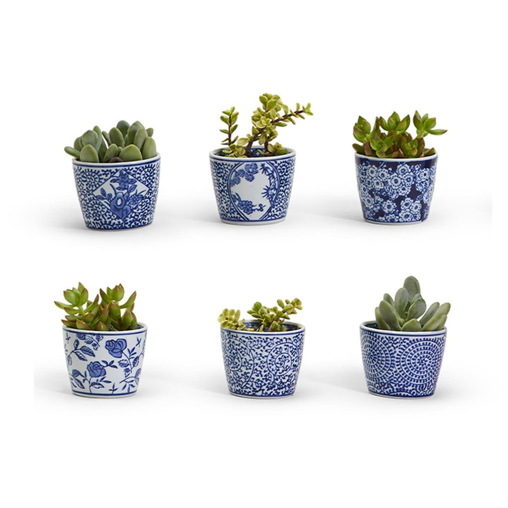 Mini Porcelain Cachepots — Blue & White Chinoiserie