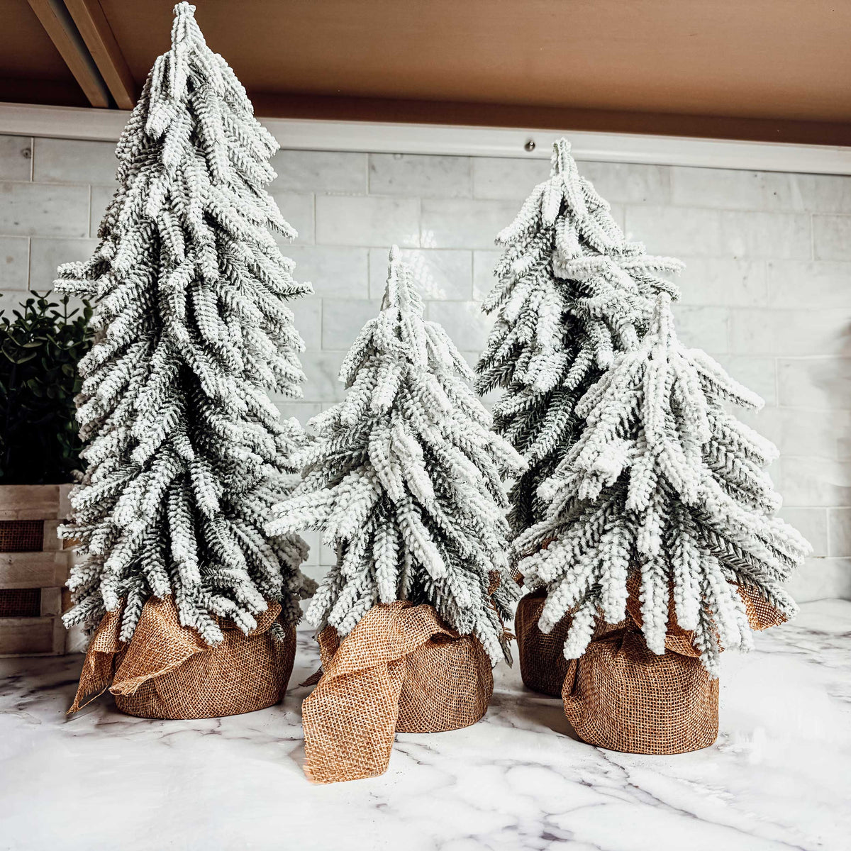 Snow-Covered Tabletop Christmas Trees