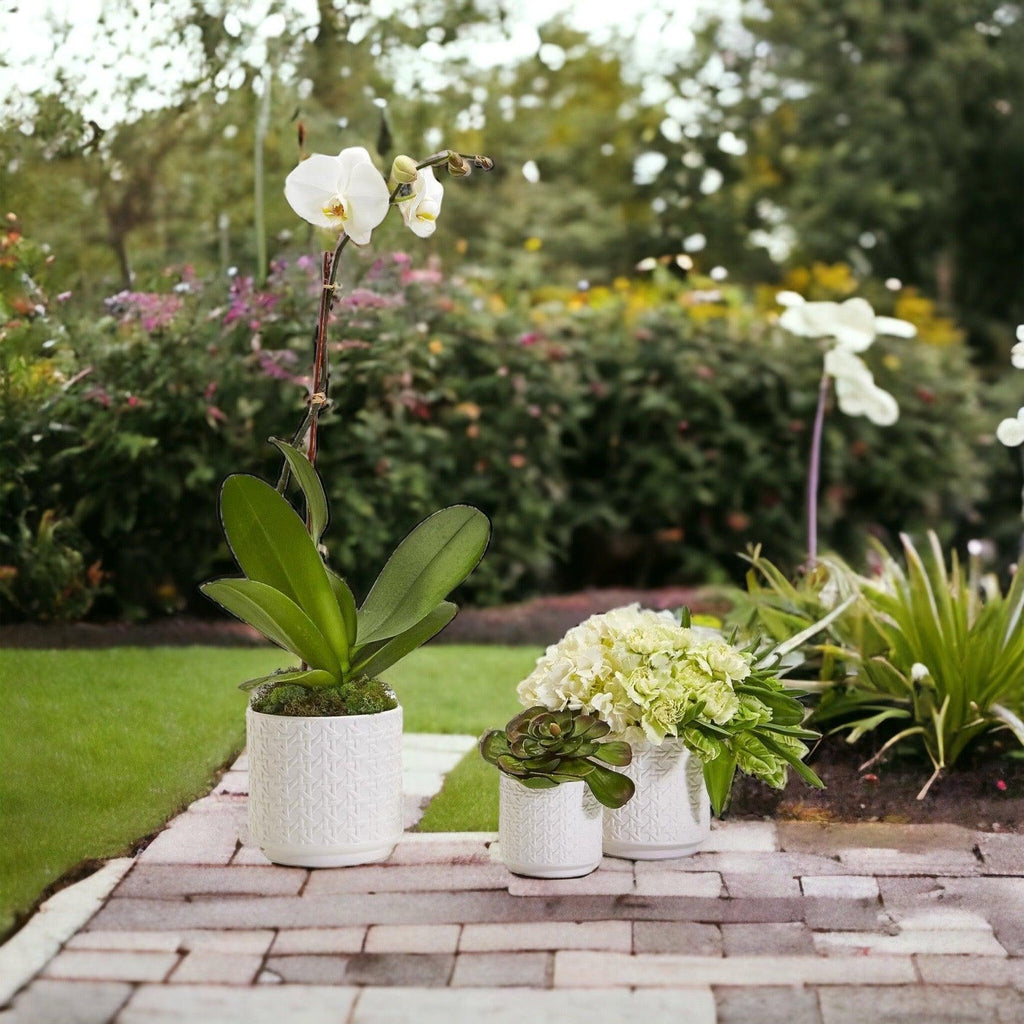 Cane-Webbing Pattern Planter — Individual or Set